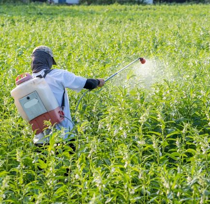 Protected Farming