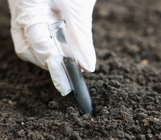 How Yogesh Agri Farms Delivers Scientific Agronomic Guidance