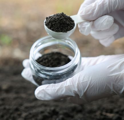 Soil & Agronomic Advisory