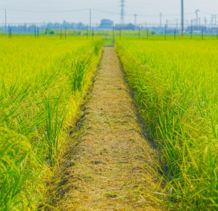 The Yogesh Agri Advantage