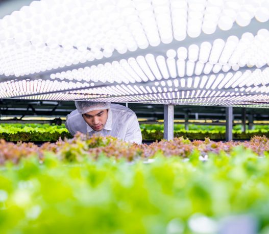 Why Yogesh Agri Farms